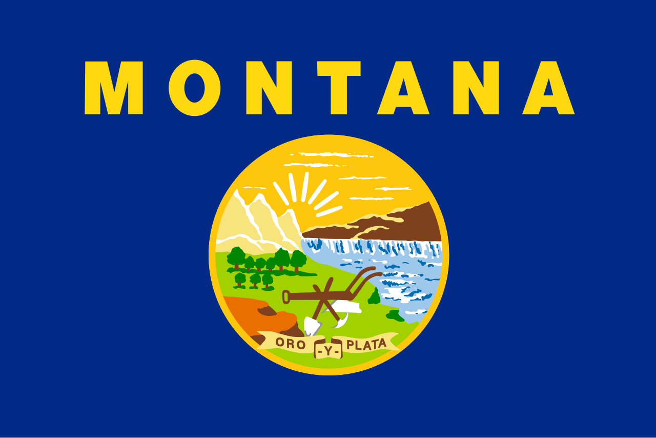 Washington State flag