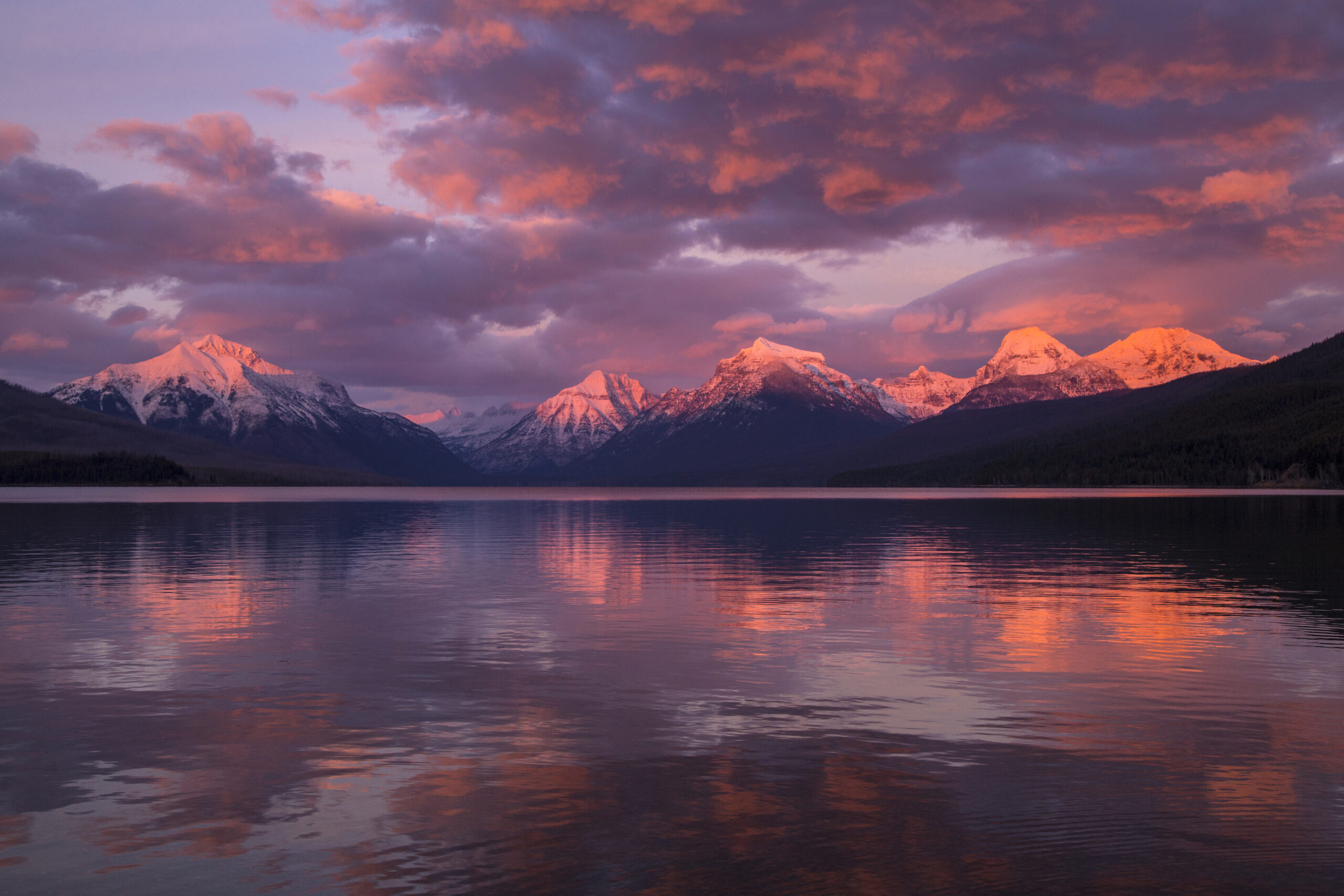 Montana story