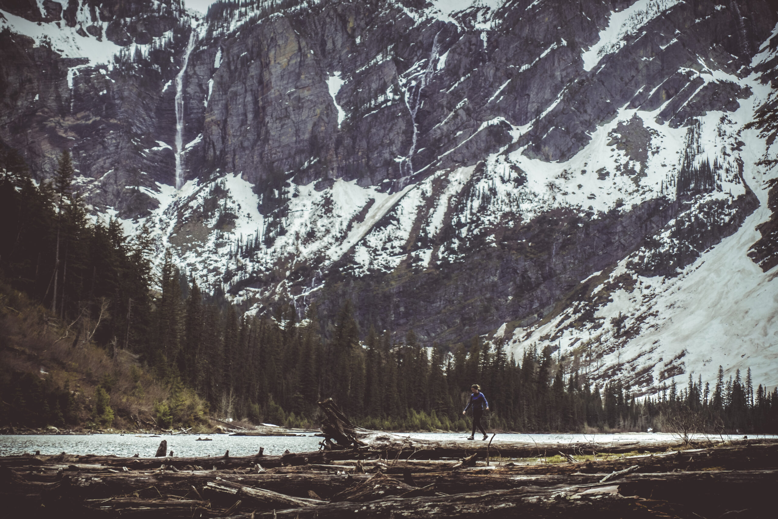Washington landscape